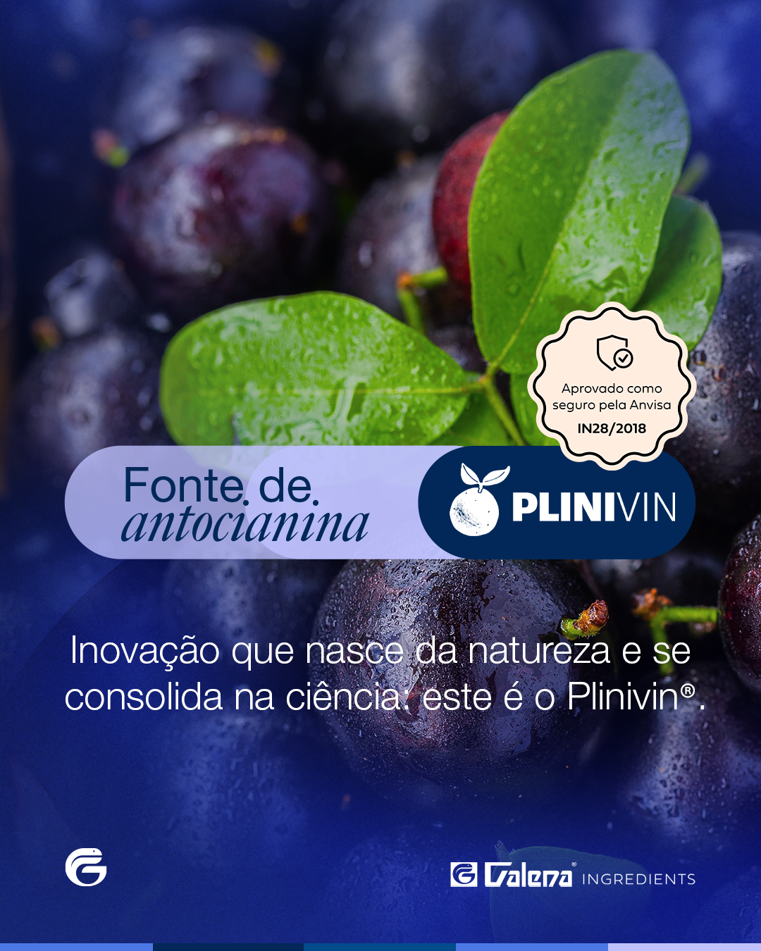 POST_PLINIVIN_IND01 POST_PLINIVIN_IND01