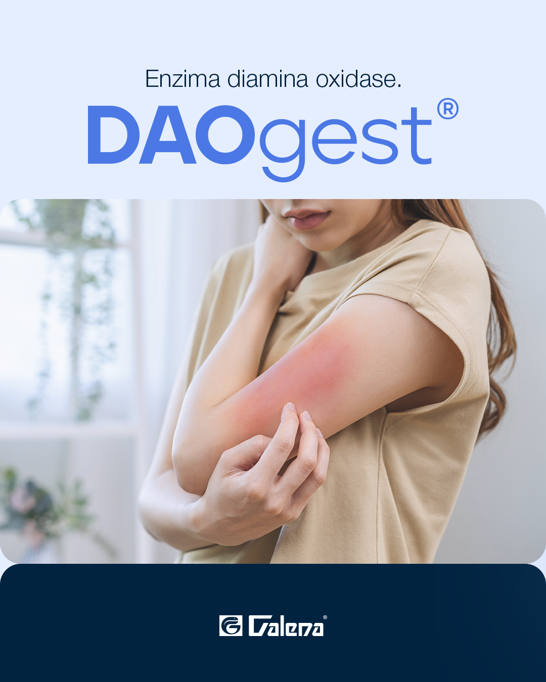 DAOGest_feed_2026 (1)-1