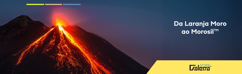 _banner jornada morosil 2