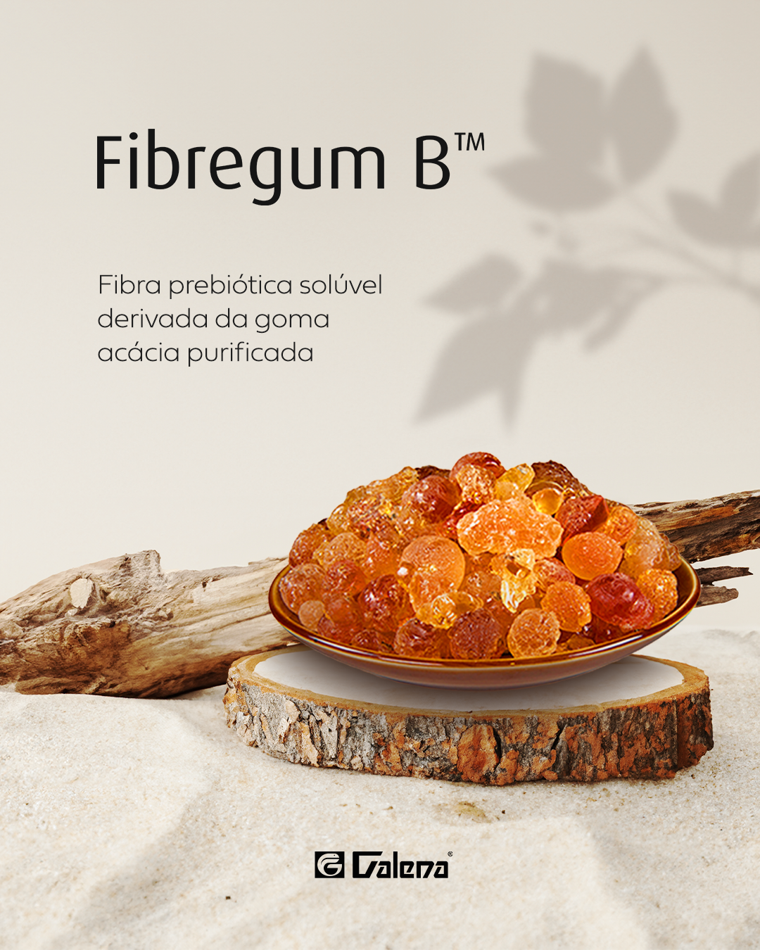 fibregum-post