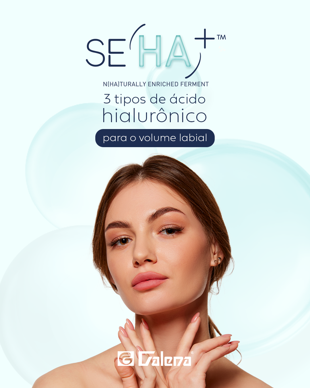 Se HA Se HA